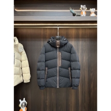 Zegna Down Jackets